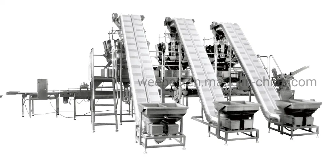 Automatic Conveying Filling Granule Packaging Machine Packaging System Factory