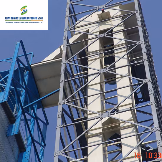Sistema de transporte de elevador de caçamba de grãos a granel série Tdtg de alta qualidade